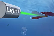 New Soft-bodied Robot Developed That Uses Light to Swim